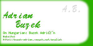 adrian buzek business card